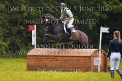 Quizzle Andreas DIBOWSKI