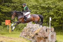 Coromandel du Moulin Philine GANDERS-MEYER