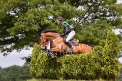 Sumas For Keeps Nicolai ALDINGER