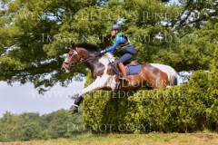 Grafitti van't Stelenshof Maelle TAQUET