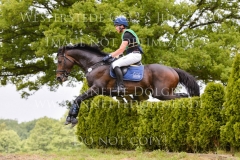 Berlusconi Joern WARNER