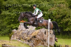 Sunnyvale Lass Shunto TAKAHASHI