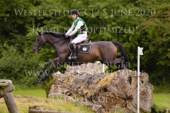 Sunnyvale Lass Shunto TAKAHASHI