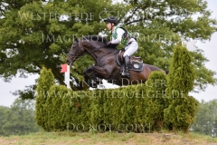 Sunnyvale Lass Shunto TAKAHASHI