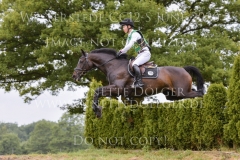 Sunnyvale Lass Shunto TAKAHASHI