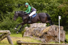 Carlson B Vanessa BOELTING