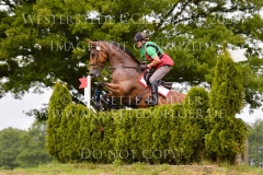 Silken Spring Christoph HEIDEN