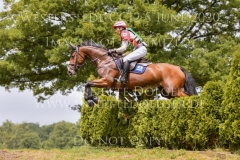 Tullyoran Cruise JRA Yoshiaki OIWA