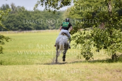 Timmo Nicolai ALDINGER