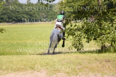 Timmo Nicolai ALDINGER