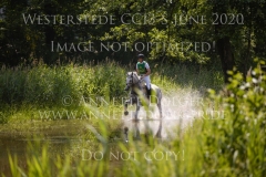 Carjatan S Christoph WAHLER