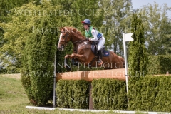 Lexington van de Vinkenhof Mara VAN DE VEN