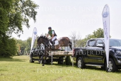 Amazing Prince TSF Kai-Steffen MEIER