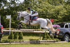 Butterblume I Sabrina LABES