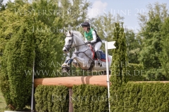 Butterblume I Sabrina LABES