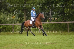 Headquarter D'Alphi Camille DELVAUX