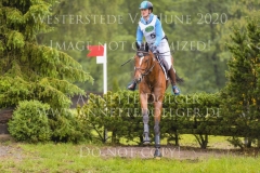 Headquarter D'Alphi Camille DELVAUX