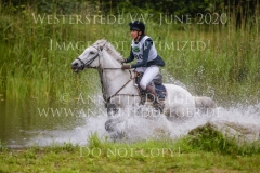 Silver Fern 3 Friederike MEYER