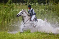 Silver Fern 3 Friederike MEYER