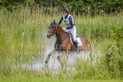 Van Helsing 20 Lilly HEUER