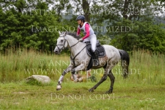 Sookie 7 Chris Louisa SANDSTEDE