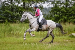 Sookie 7 Chris Louisa SANDSTEDE