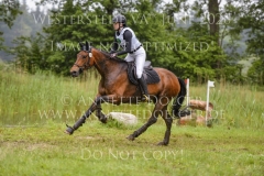 Brahma-Royal Victoria ARTUS