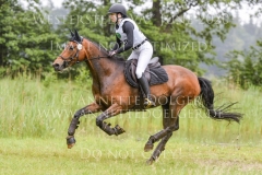 Brahma-Royal Victoria ARTUS