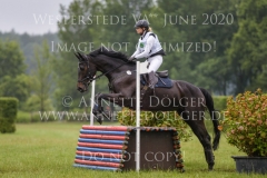 Dante`s Dream Marie Noelle WOJTUN