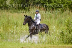 Dante`s Dream Marie Noelle WOJTUN