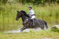 Dante`s Dream Marie Noelle WOJTUN