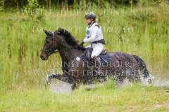 Dante`s Dream Marie Noelle WOJTUN