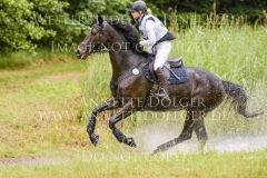 Dante`s Dream Marie Noelle WOJTUN