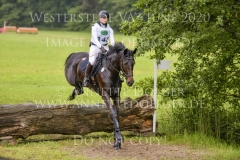 Dante`s Dream Marie Noelle WOJTUN