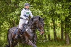 Dante`s Dream Marie Noelle WOJTUN