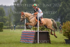 Dream it 2 Ole OTTMANN