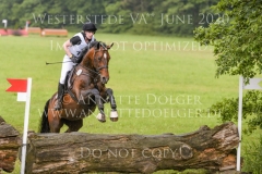 Coco Chanel 189 Ann-Carin BOELTES