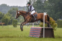 Duke Ellington 10 Gesche HOBBIE