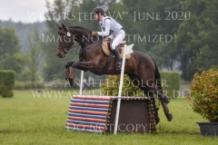 Cool Cat 11 Lore REHKAMP