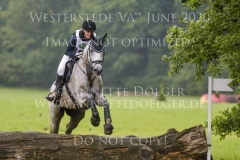 Cronut S Jantje TAPKENHINRICHS