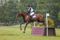 Duke's Delight Cathleen DOYEN-WALDECKER