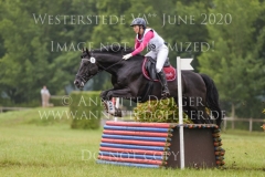 Al Capone 190 Chris Louisa SANDSTEDE