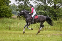 Al Capone 190 Chris Louisa SANDSTEDE