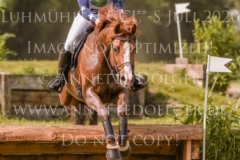 Amequ Torino (Rawa's Torino) Hanne Wind RAMSGAARD