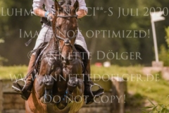 Sir Boggles Peter THOMSEN