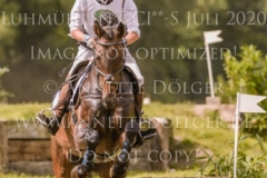 Sir Boggles Peter THOMSEN