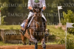 Sir Boggles Peter THOMSEN