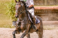 Sir Boggles Peter THOMSEN