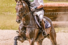 Sir Boggles Peter THOMSEN