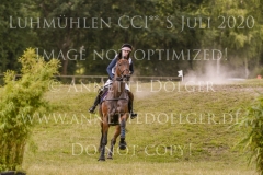 Irish Choice Veronique ZIMMER